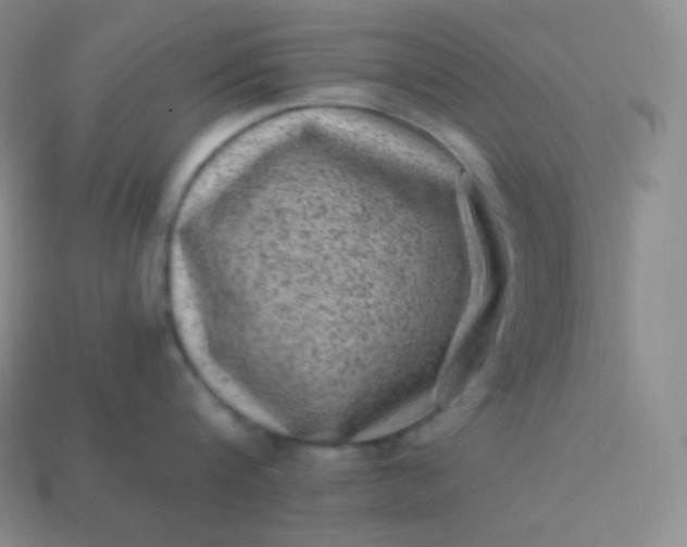X0000113950816200910091607