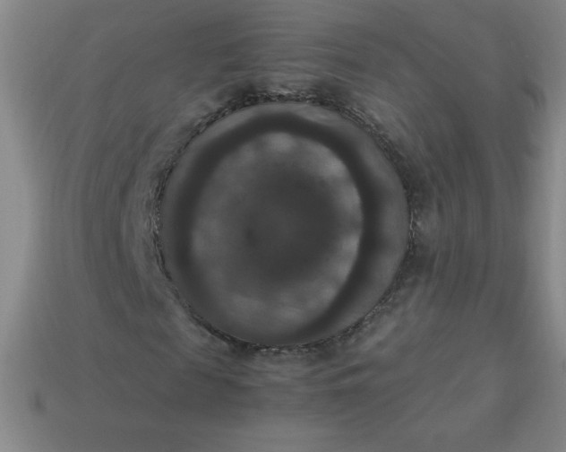 X0000113950817200910091607