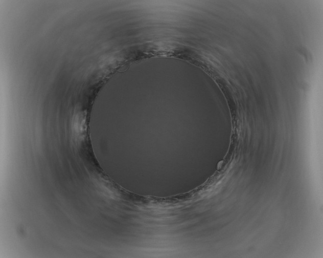 X0000113950818200910091607