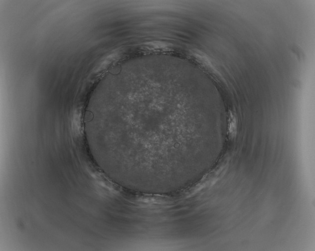 X0000113950819200910091607