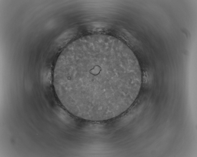 X0000113950820200910091607