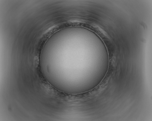 X0000113950821200910091607