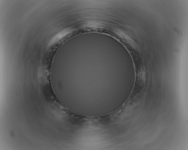 X0000113950822200910091607