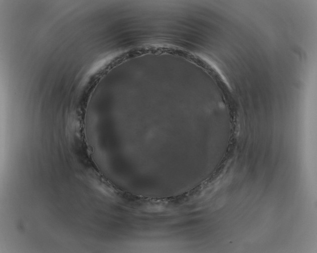 X0000113950823200910091607