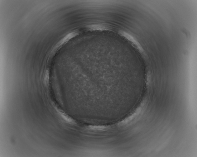 X0000113950825200910091607