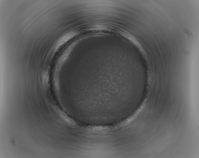 X0000113950826200910091607