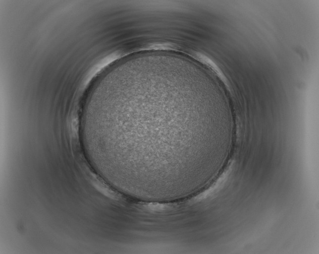 X0000113950827200910091607