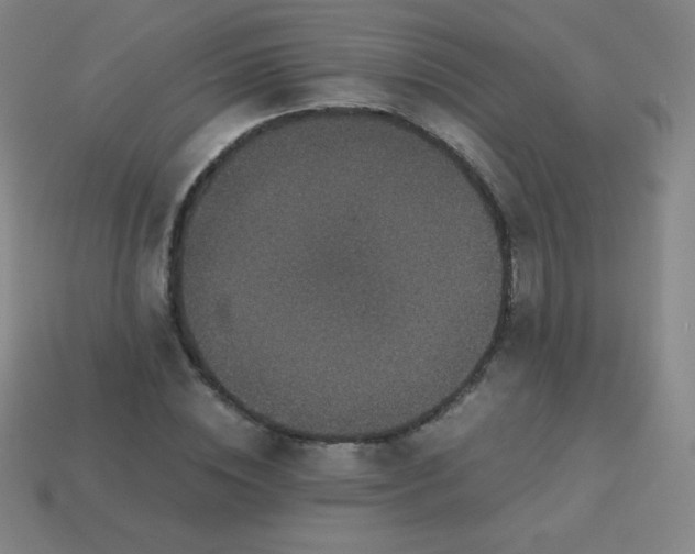 X0000113950828200910091607