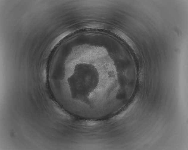 X0000113950829200910091607