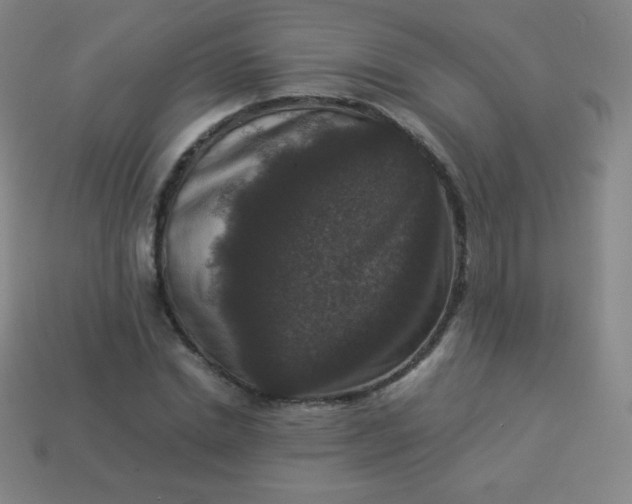 X0000113950830200910091607