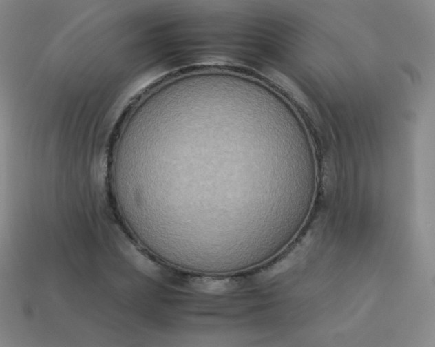 X0000113950831200910091607
