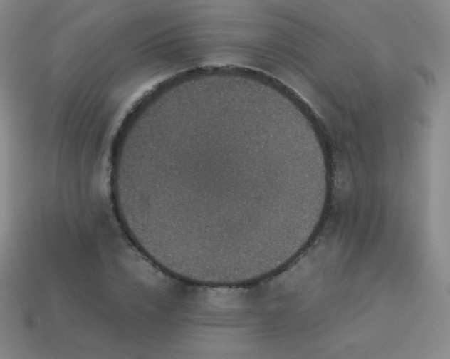 X0000113950832200910091607