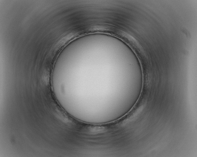 X0000113950833200910091607