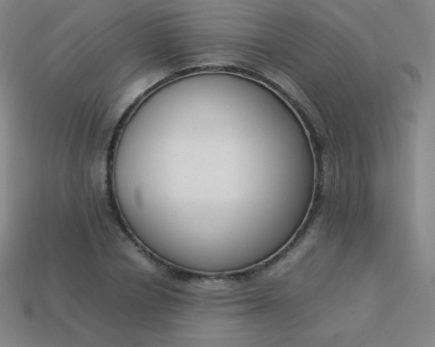 X0000113950834200910091607