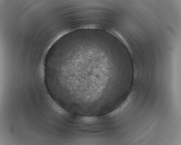 X0000113950835200910091607
