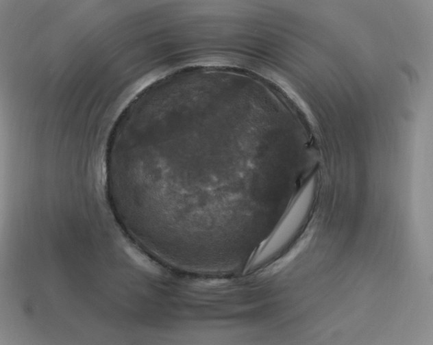 X0000113950837200910091607