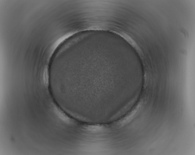 X0000113950838200910091607