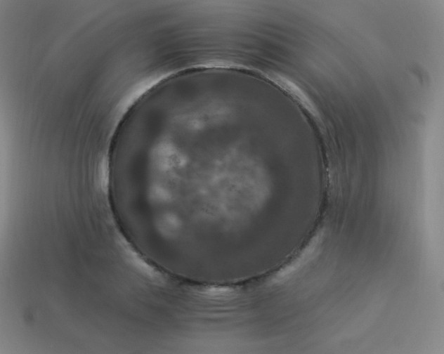 X0000113950839200910091607