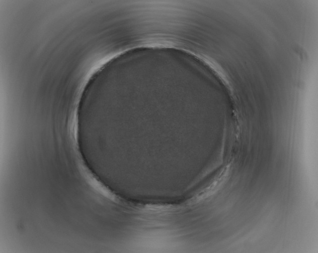 X0000113950840200910091607