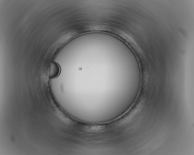 X0000113950841200910091607