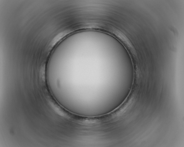 X0000113950842200910091607
