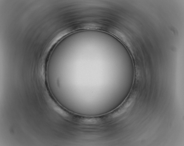 X0000113950843200910091607