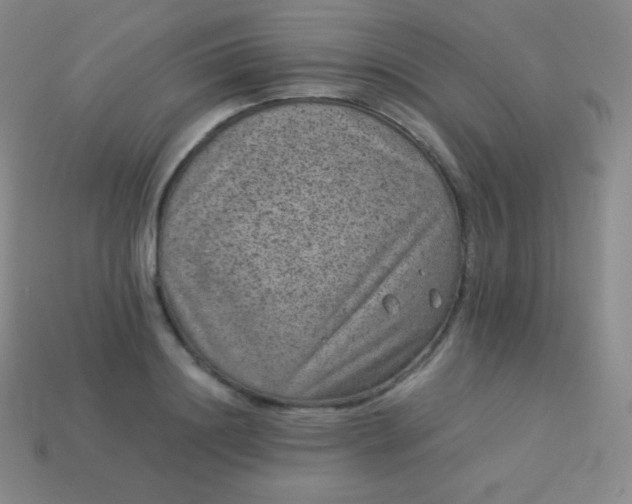 X0000113950844200910091607