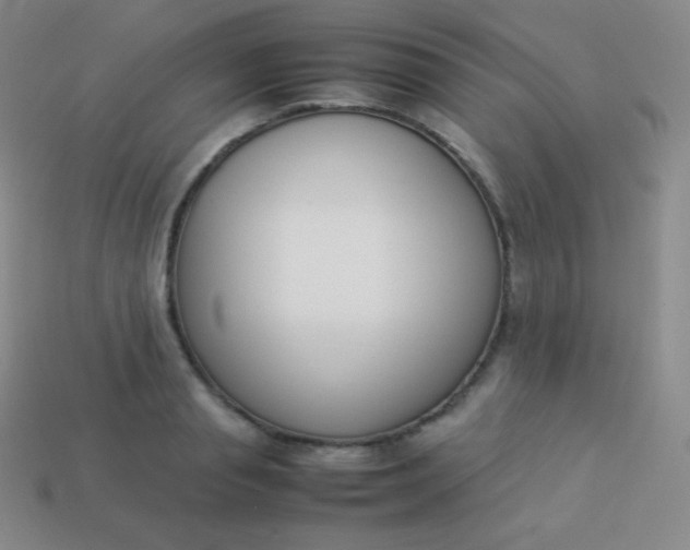 X0000113950845200910091607