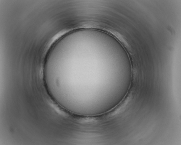 X0000113950846200910091607