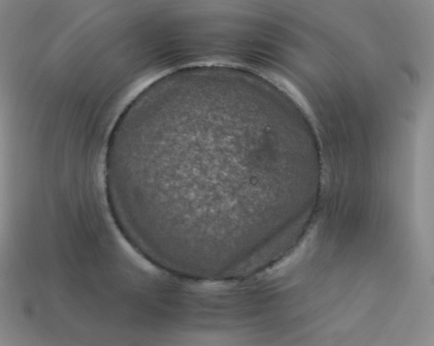 X0000113950847200910091607