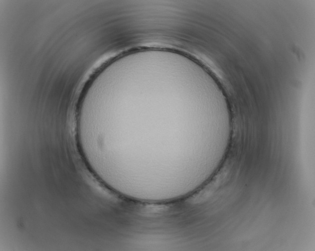 X0000113950848200910091607