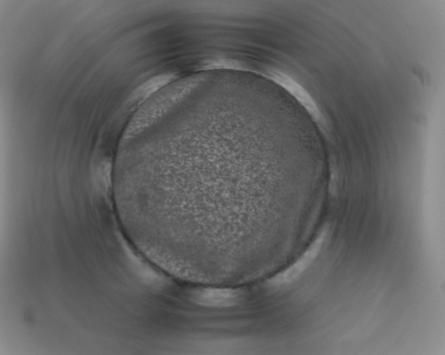 X0000113950849200910091607