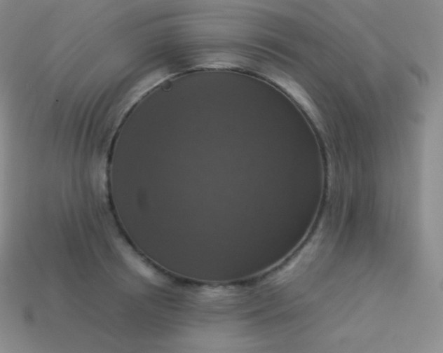 X0000113950850200910091607