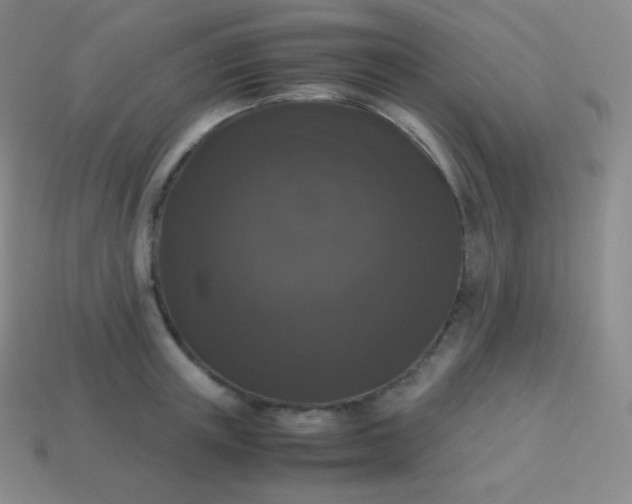 X0000113950851200910091607