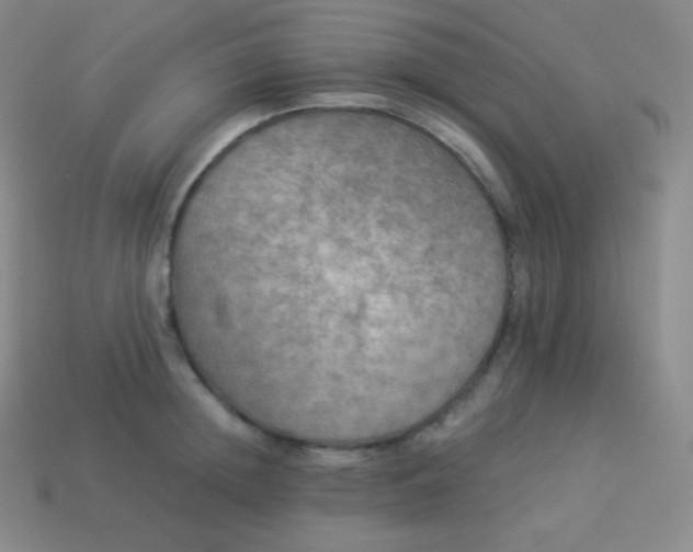X0000113950852200910091607