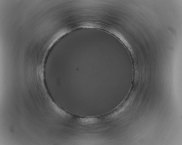 X0000113950853200910091607
