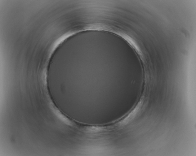 X0000113950854200910091607