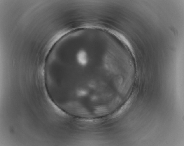 X0000113950855200910091607