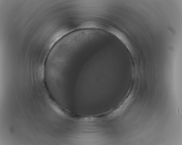 X0000113950858200910091607