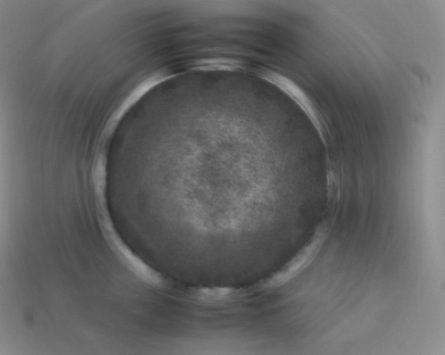 X0000113950859200910091607