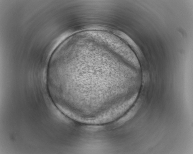 X0000113950860200910091607