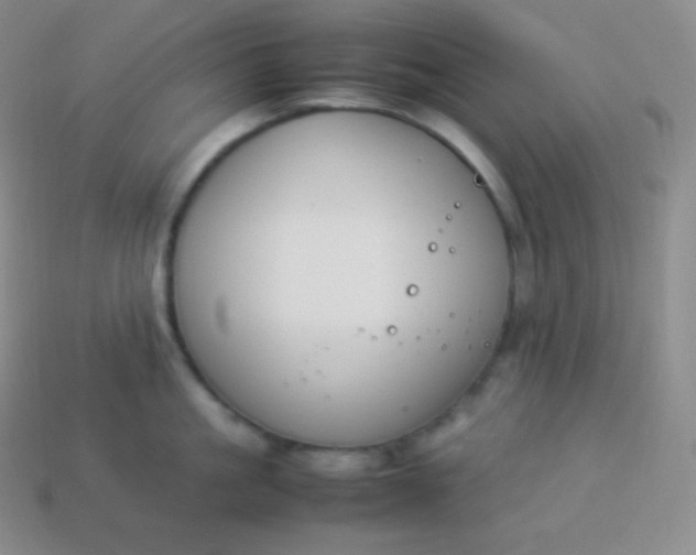 X0000113950861200910091607