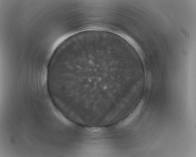 X0000113950862200910091607