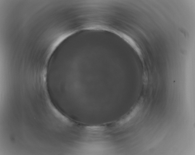X0000113950863200910091607