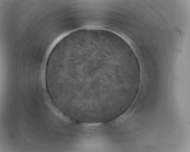 X0000113950864200910091607