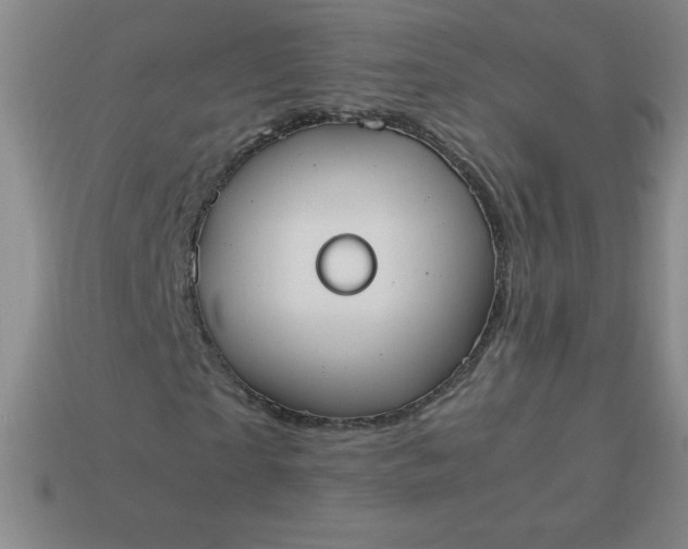 X0000113950865200910091607
