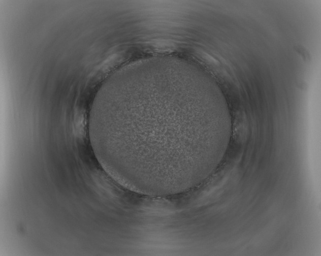 X0000113950866200910091607