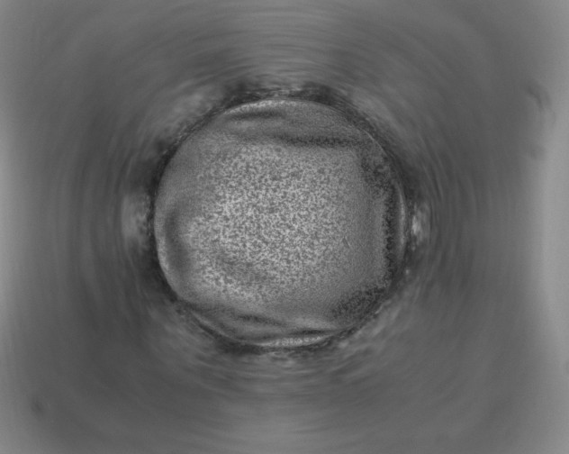 X0000113950867200910091607