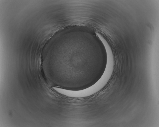 X0000113950868200910091607