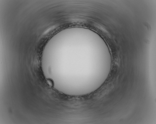 X0000113950869200910091607
